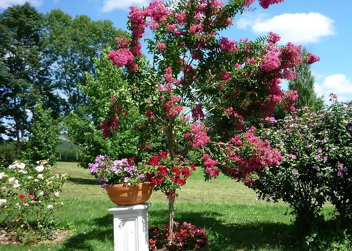 维加酒庄旅馆 住宿加早餐酒店 Saint-Arroman (Hautes-Pyrenees)